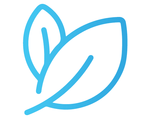 leaf icon